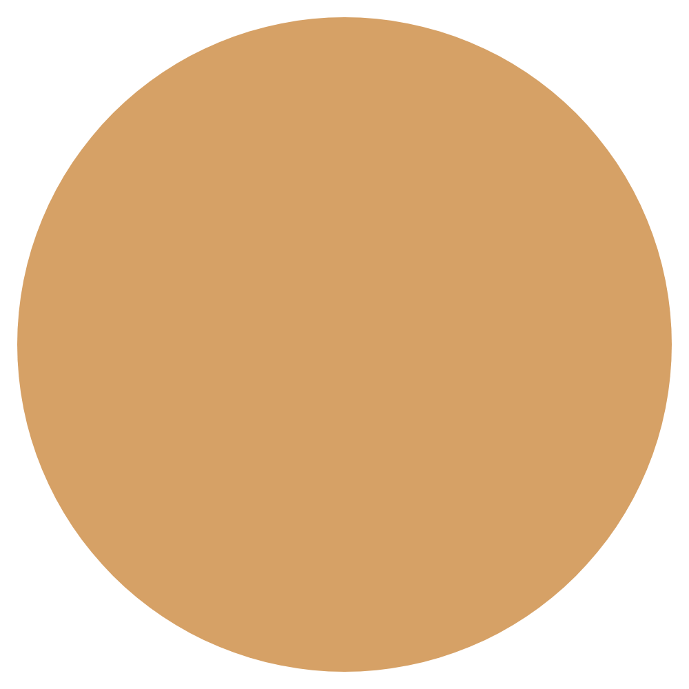 Glow & Go Skin Tint Stick