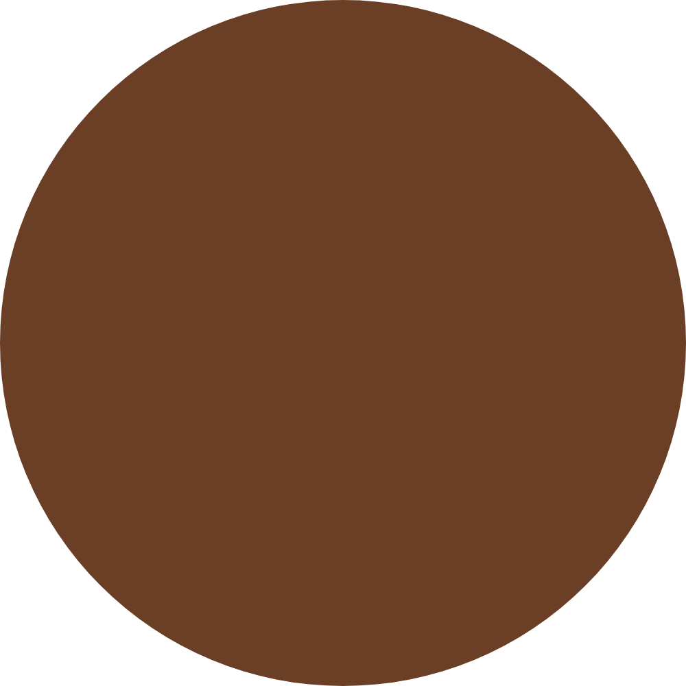 Glow & Go Skin Tint Stick