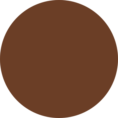 Glow & Go Skin Tint Stick