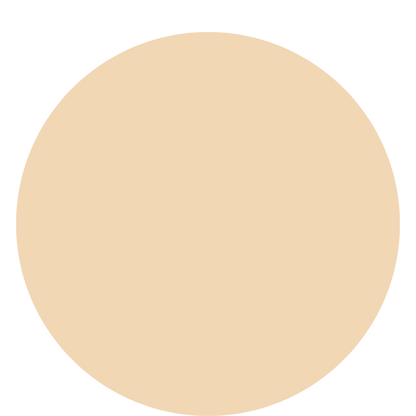 Glow & Go Skin Tint Stick