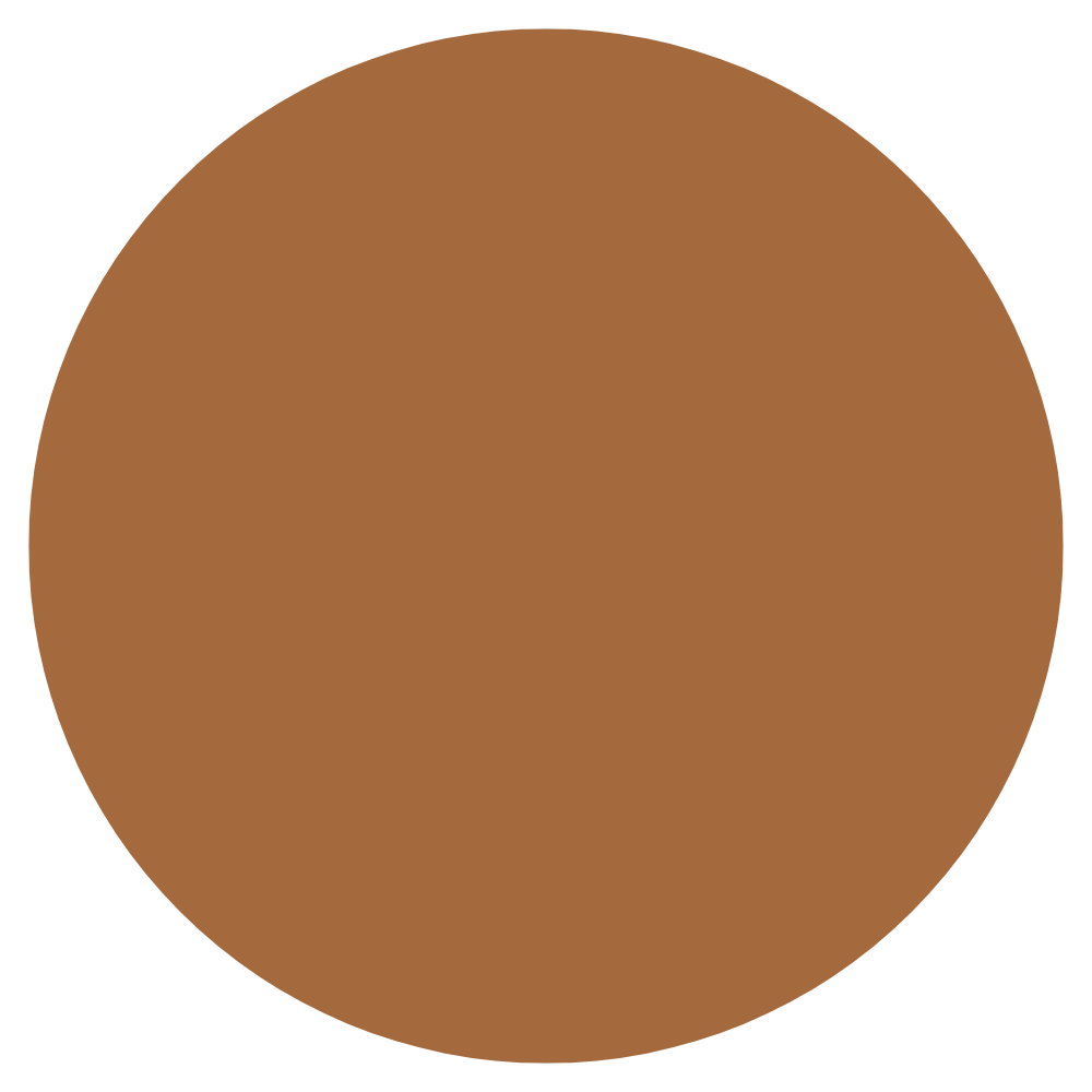 Glow & Go Skin Tint Stick