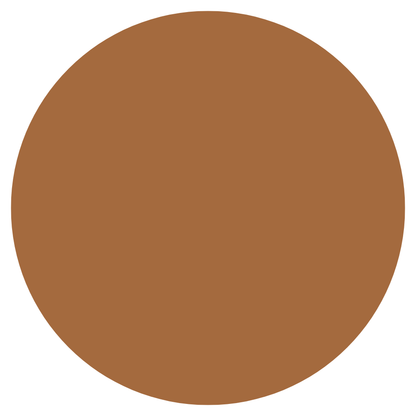 Glow & Go Skin Tint Stick