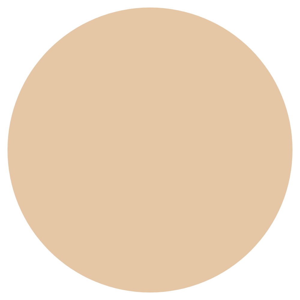 Glow & Go Skin Tint Stick